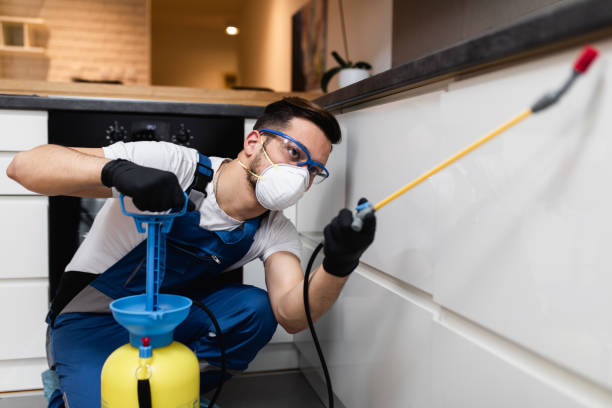Best Ant Control Services  in Wetumka, OK