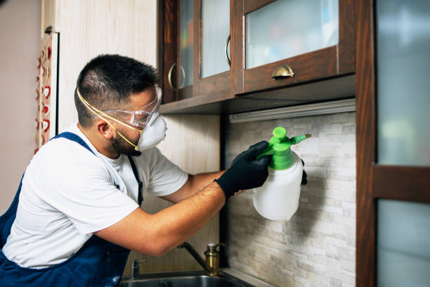 Best Mosquito Control Services  in Wetumka, OK