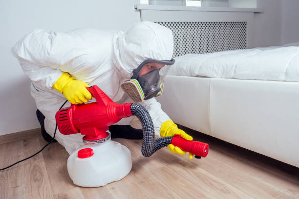 Best Residential Pest Control  in Wetumka, OK