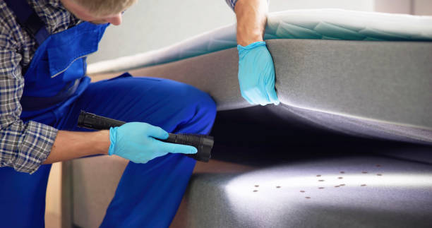 Best Ant Control Services  in Wetumka, OK