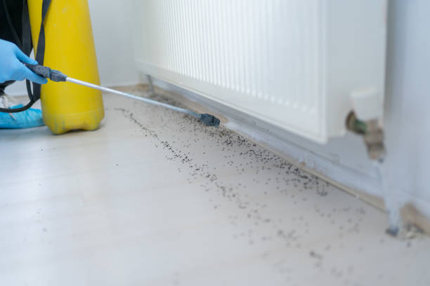 Best Commercial Pest Control Services  in Wetumka, OK