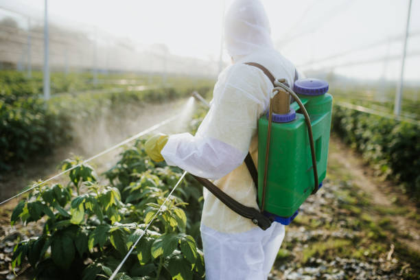 Best Affordable Pest Control Services  in Wetumka, OK